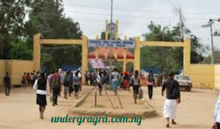 polytechnic banking and finance