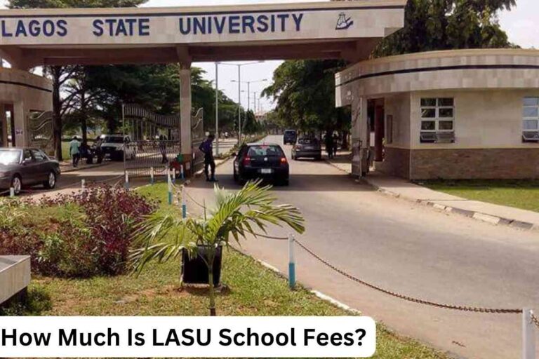How Much Is LASU School Fees